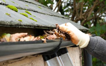gutter cleaning Stockland Green